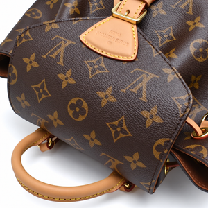 OUIS VUITTON Montsouris PM Monogram Backpack M45501 Excellent Condition