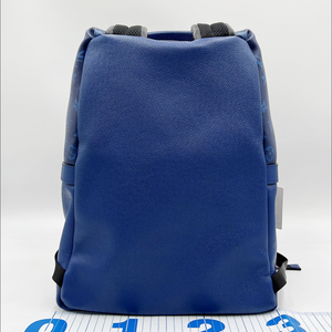 ouis Vuitton Discovery Backpack Taigarama Cobalt Blue (M30229) - 2WAY Luxury Backpack